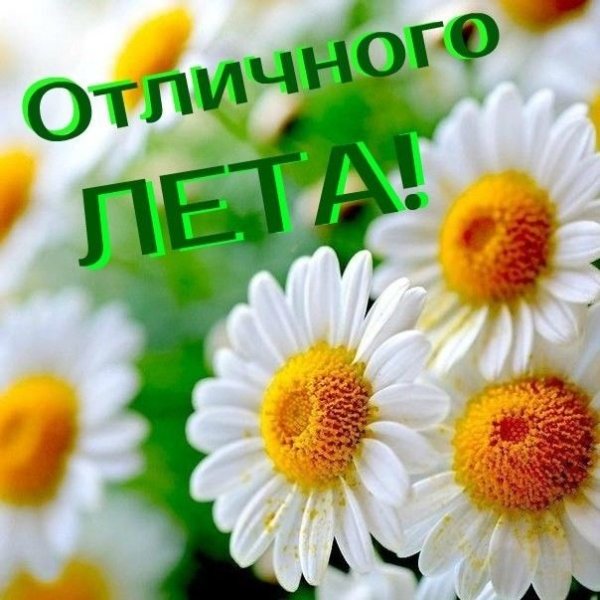 Хорошего лета