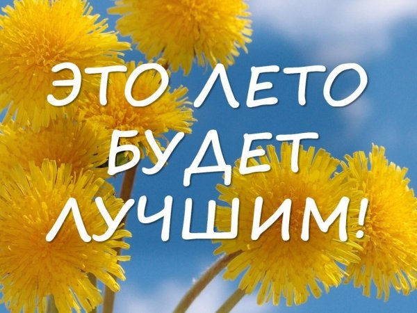 Это лето будет лучшим