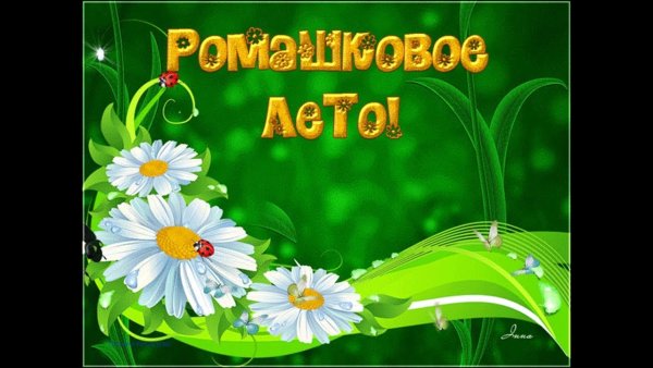 Ромашковое лето надпись