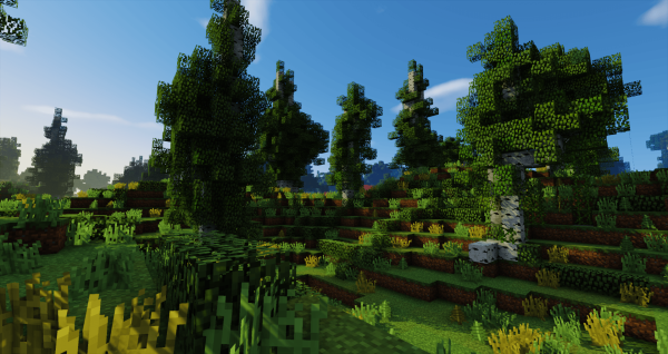 Майнкрафт шейдер лес