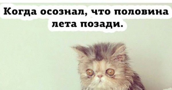 Пол лета прошло
