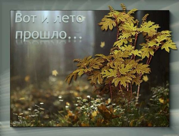 Вот и лето прошло
