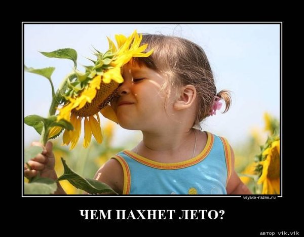 Вот и прошла половина лета