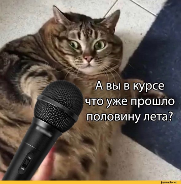 Нам просто необходим четвертый месяц лета