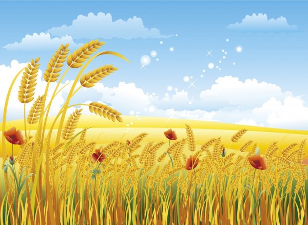 Фоны для презентаций детские