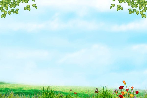 Фон бабочки