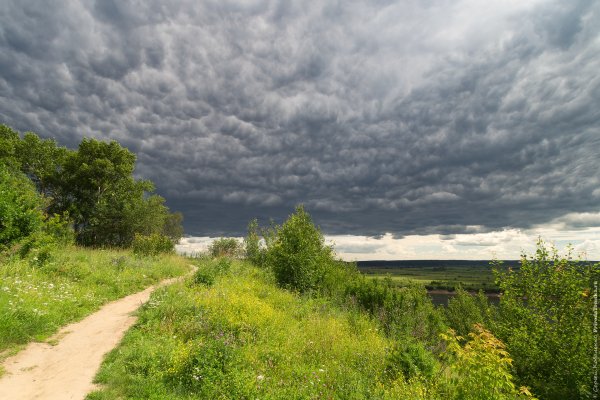 Пасмурный летний день
