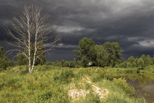 Пейзаж пасмурно