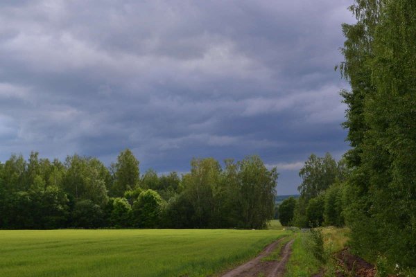 Пасмурный летний день