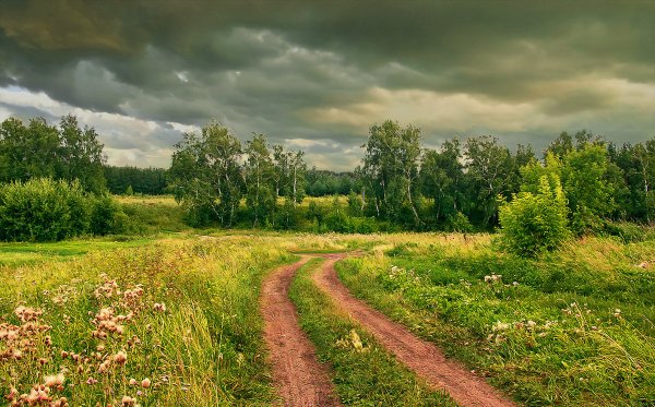 Пасмурное лето