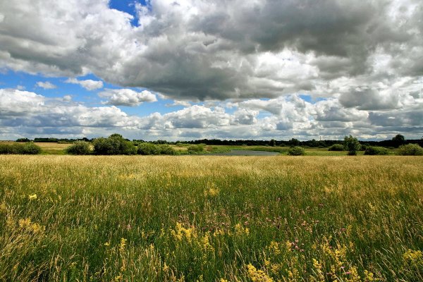Пасмурный летний день