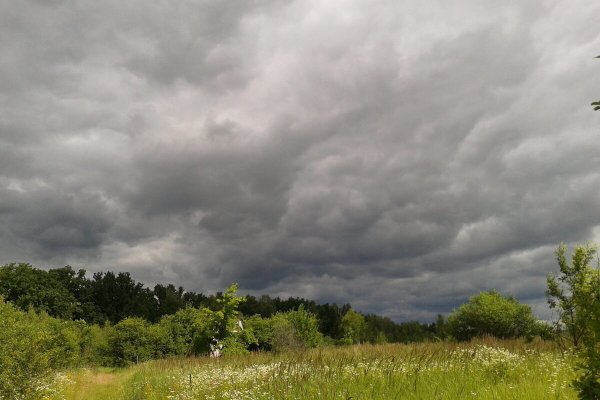 Вид на пасмурный день