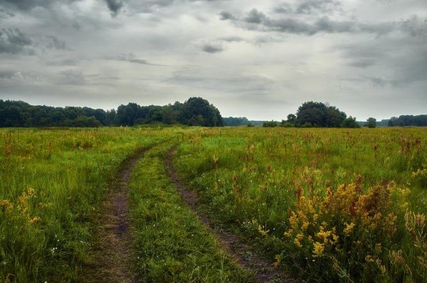 Пасмурное лето
