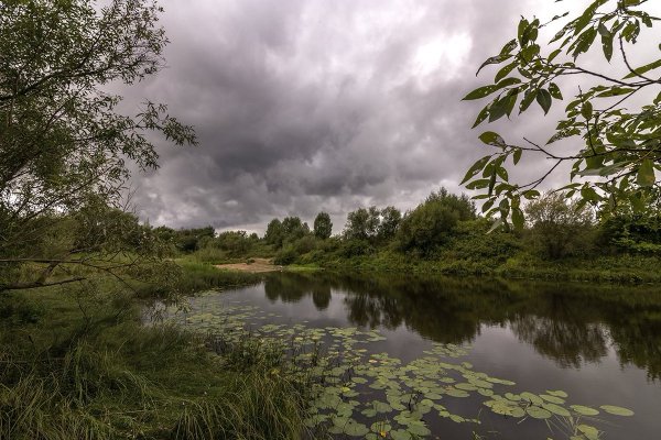 Пасмурное утро