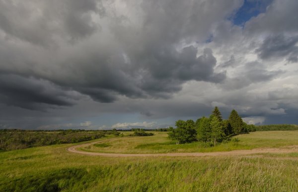 Пасмурный день