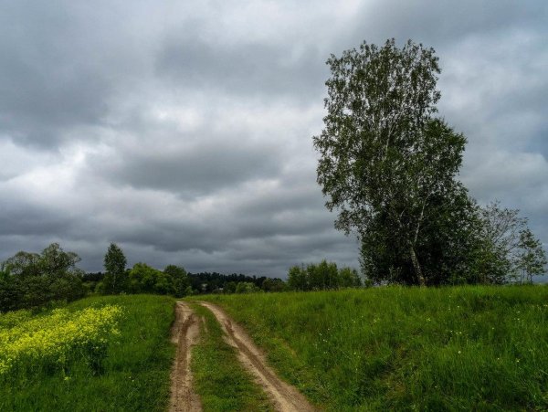 Хмурое августовское утро