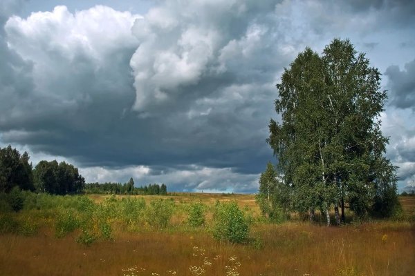 Пасмурный летний день