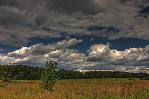 Пасмурный день ветер