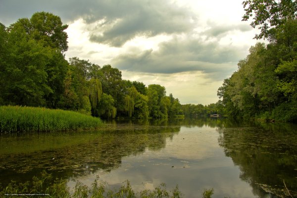 Лето природа пасмурно