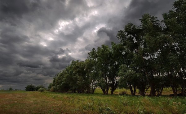 Природа пасмурно