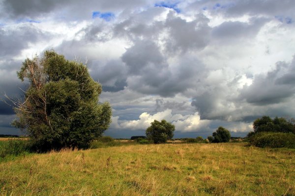 Природа перед грозой