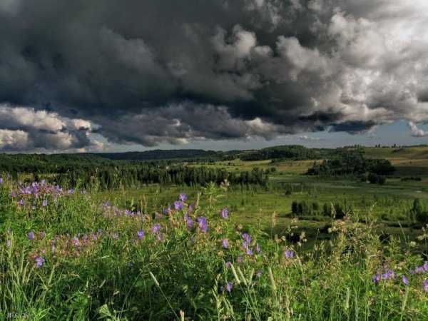 Пасмурный летний день