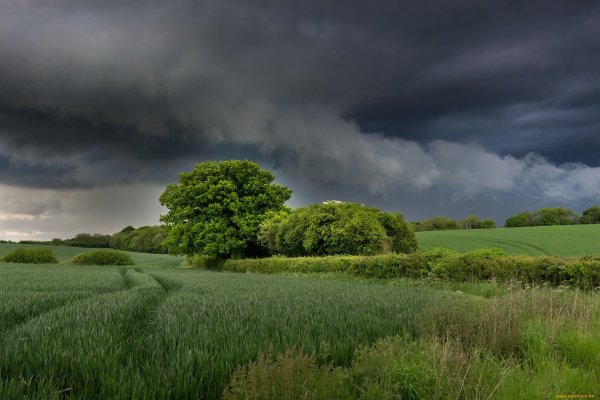 Природа перед грозой