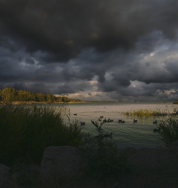 Перед грозой Брянск