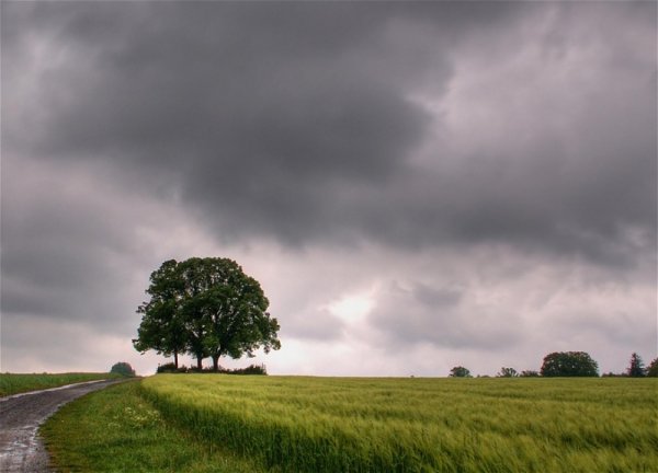 Пасмурный пейзаж