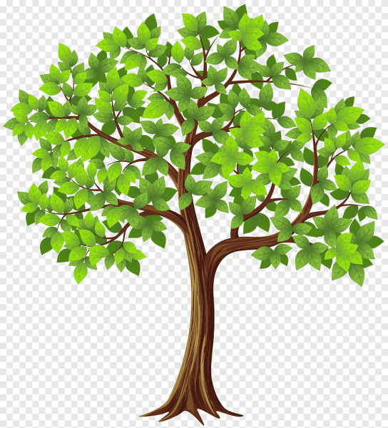Дерево пндж