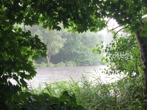 Остывающее лето дождь