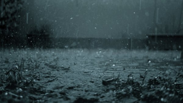 Луг в солнечных лучах