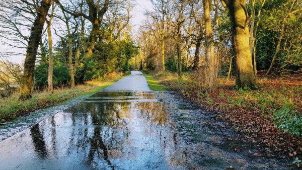 Нейтральный пейзаж