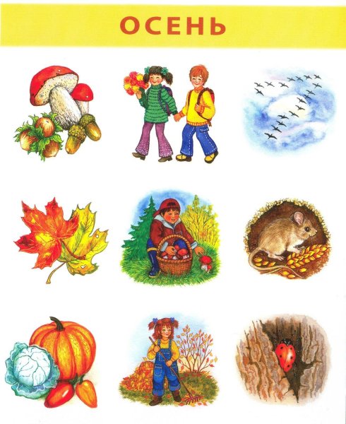 Осень картинки для дошкольников