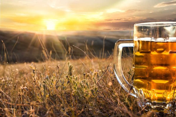Бокал пива на природе