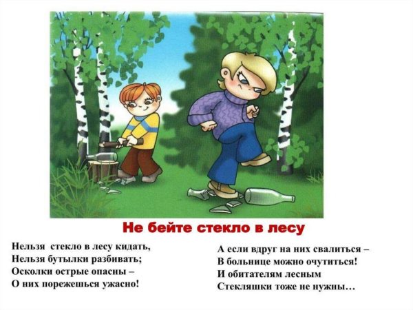 Правила поведения в лесу для детей