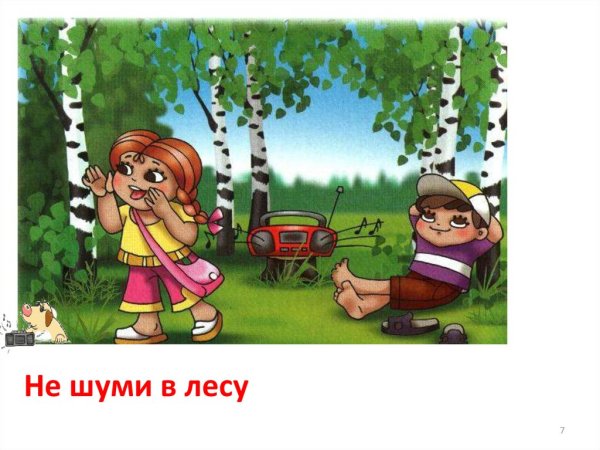 Не шумите в лесу