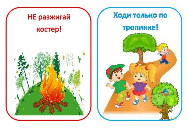 Поведение в природе для дошкольников