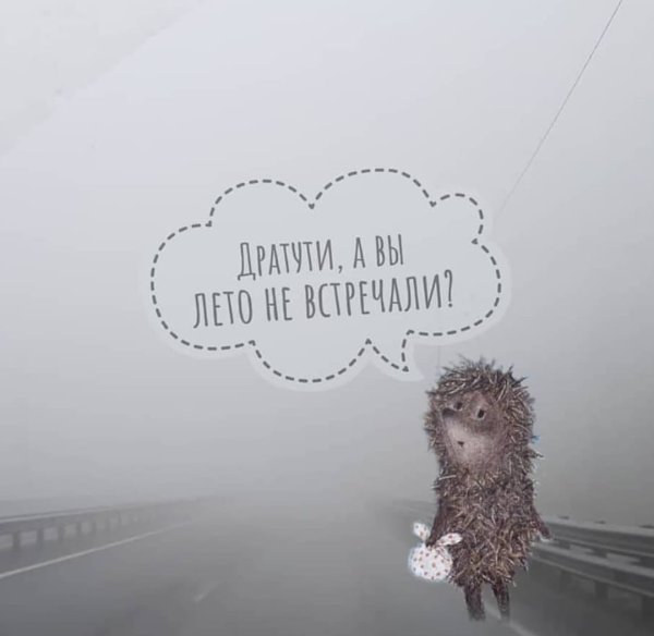 Лето потерялось