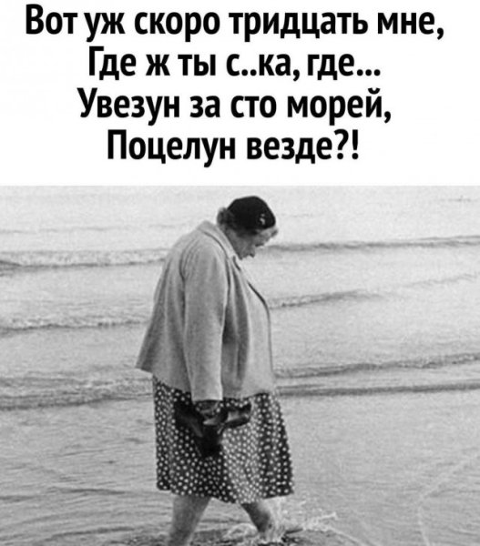 Коты ждут весну