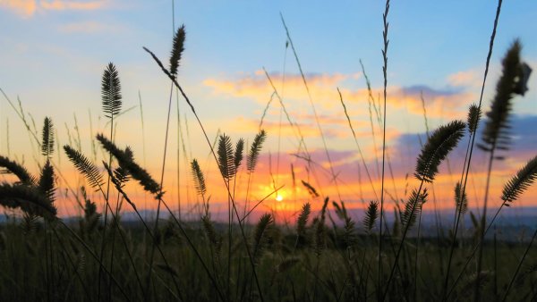 Эстетика лета море