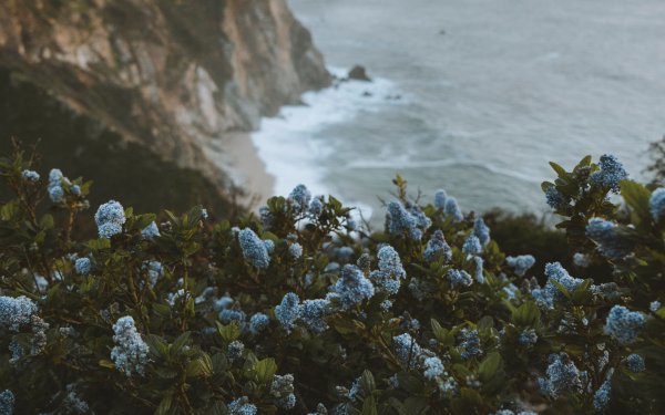 Закат в поле Эстетика