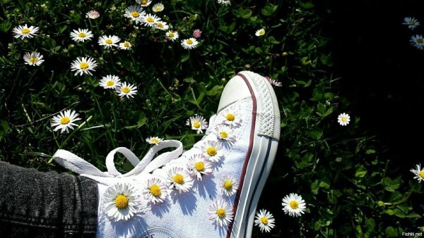 Цветочек в руке