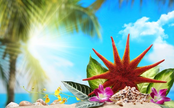 Парадиз остров Карибского моря