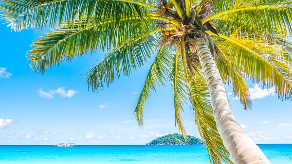 Остров Саона