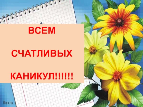 Пожелания на каникулы