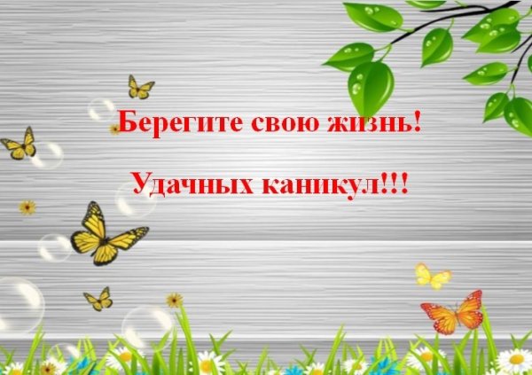 Летние каникулы картинки