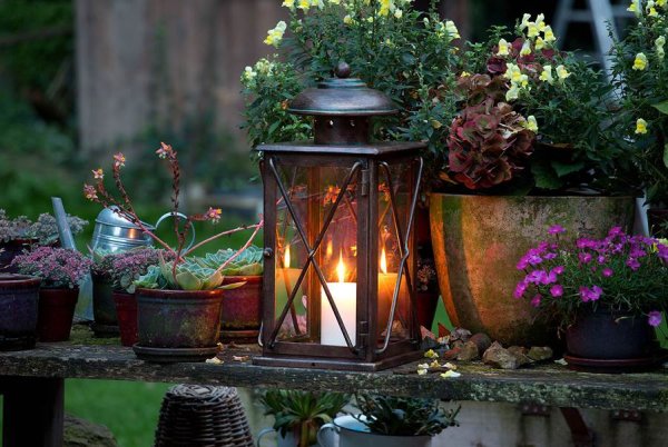 Уютный вечер на даче