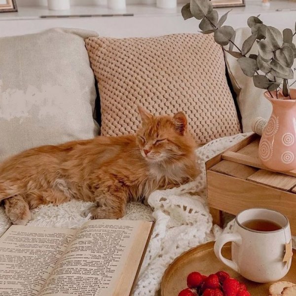 Завтрак на террасе