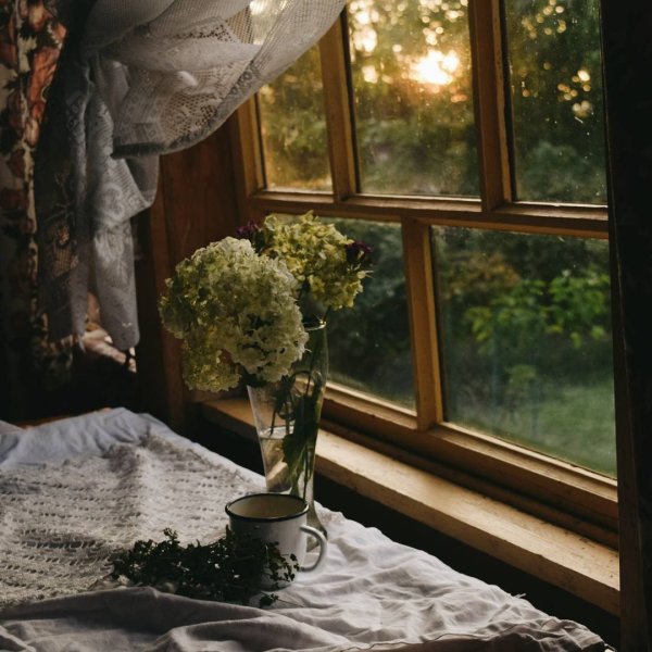 Пикник на пляже эстетики